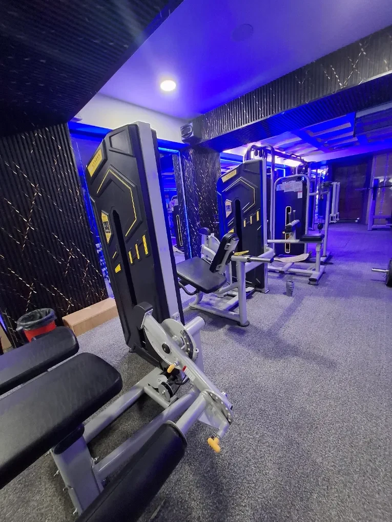 Strength equipment at Fit Pro Gym